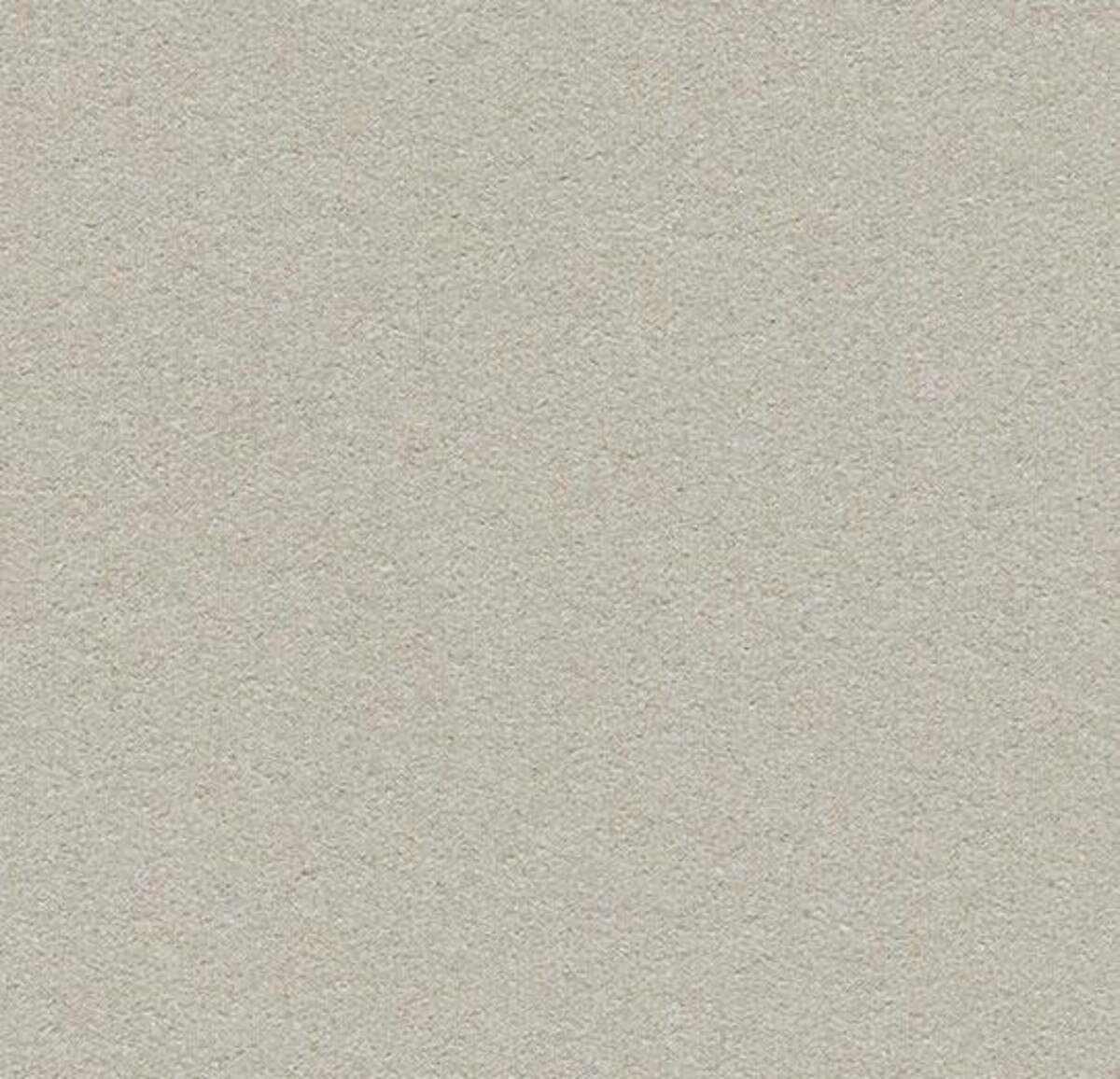 Oyster Shell 2206 Insert